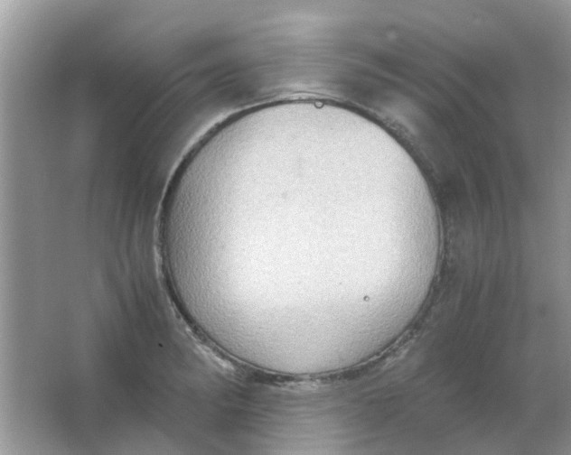 X0000065961182200603241839