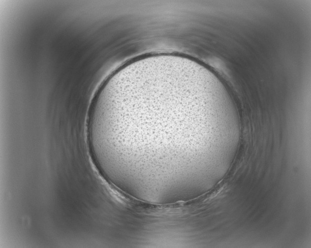 X0000065961183200603241839