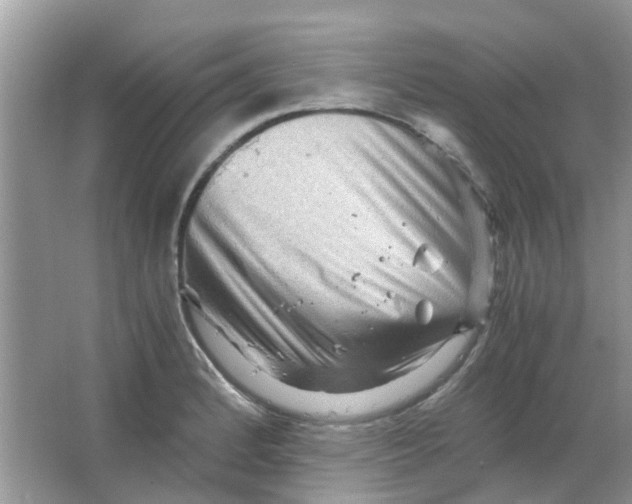 X0000065961184200603241839