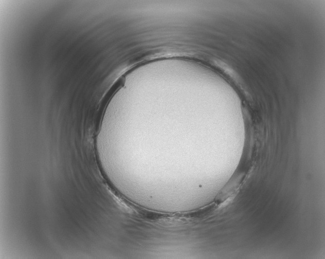 X0000065961185200603241839