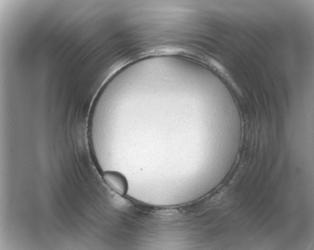 X0000065961186200603241839