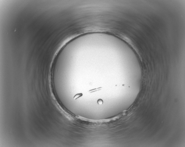 X0000065961187200603241839