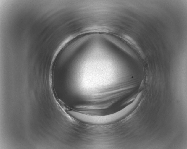 X0000065961188200603241839