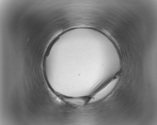 X0000065961189200603241839