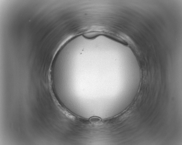 X0000065961190200603241839