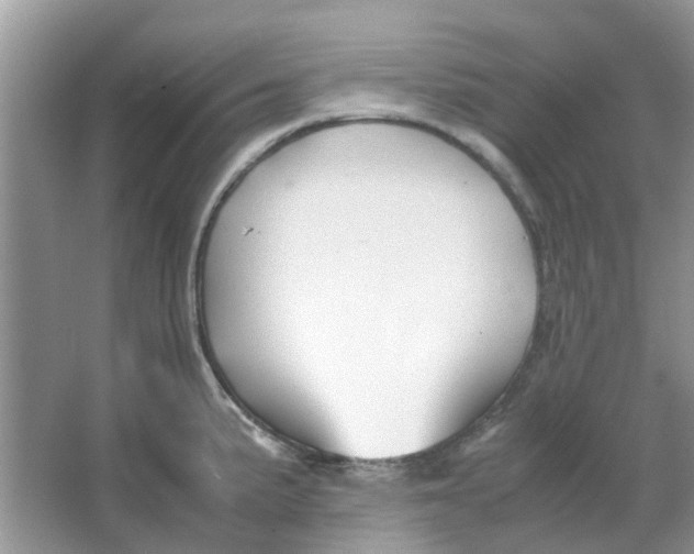 X0000065961191200603241839