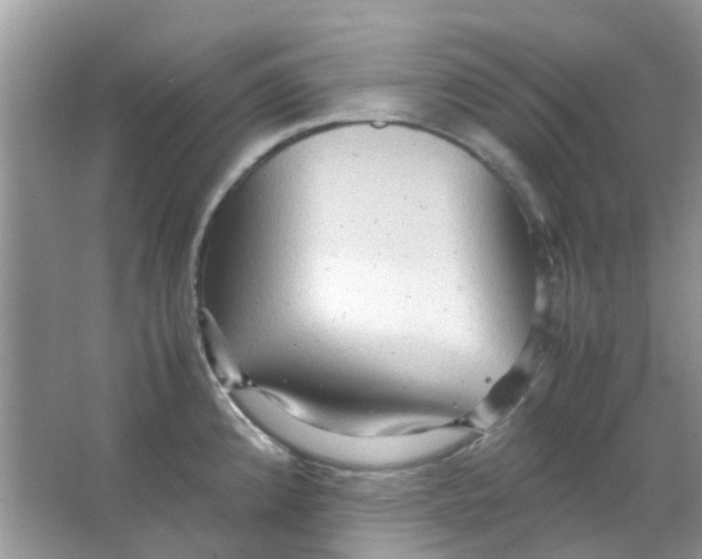 X0000065961192200603241839