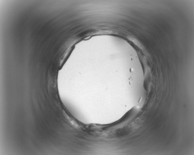 X0000065961193200603241839