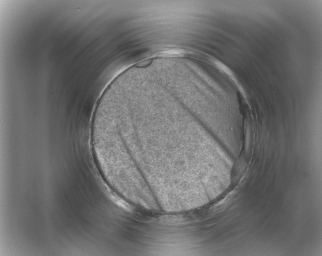 X0000065961194200603241839