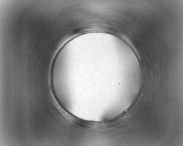 X0000065961195200603241839