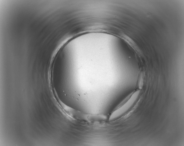 X0000065961196200603241839