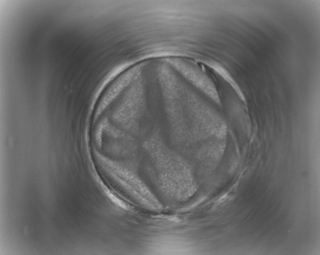 X0000065961197200603241839