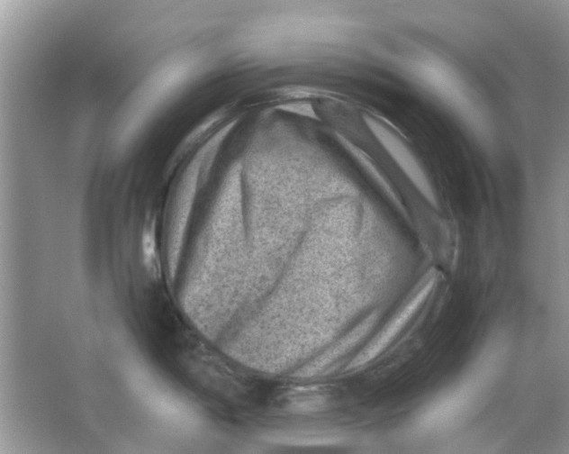 X0000065961198200603241839