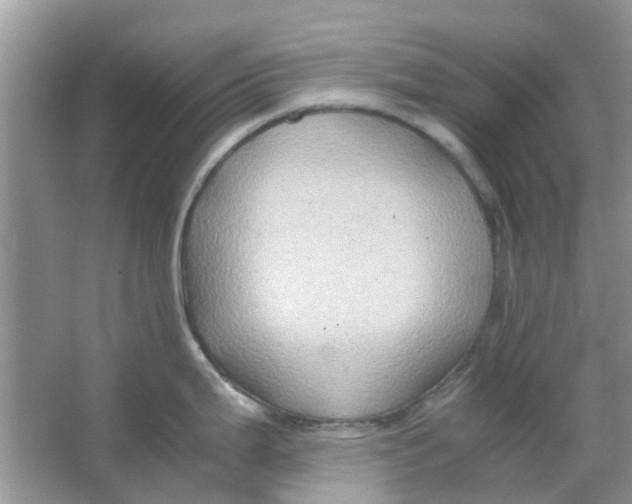 X0000065961199200603241839