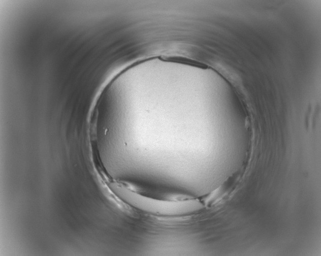 X0000065961200200603241839