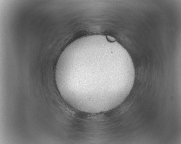 X0000065961201200603241838