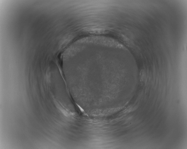 X0000065961202200603241838