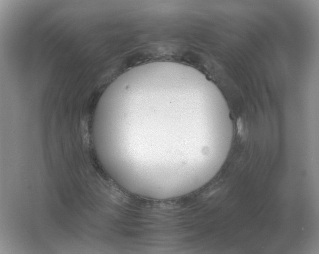 X0000065961203200603241838