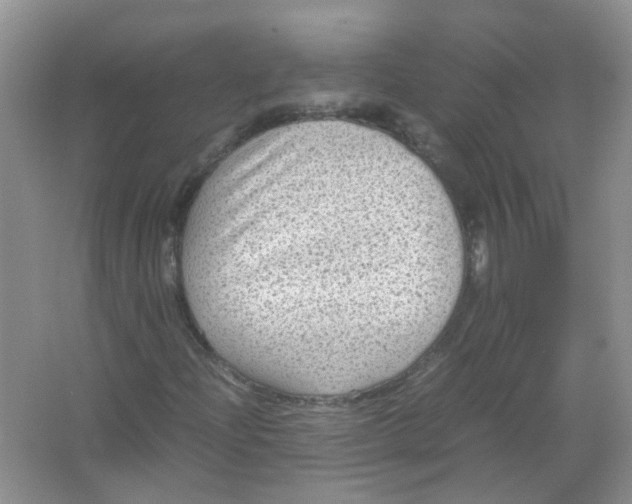 X0000065961204200603241838