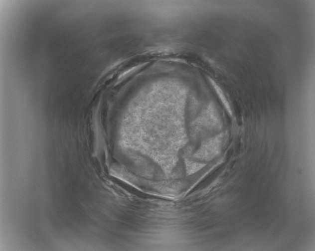 X0000065961206200603241838