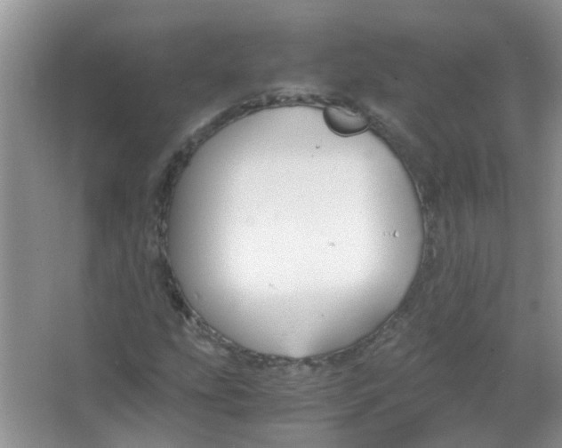 X0000065961207200603241838