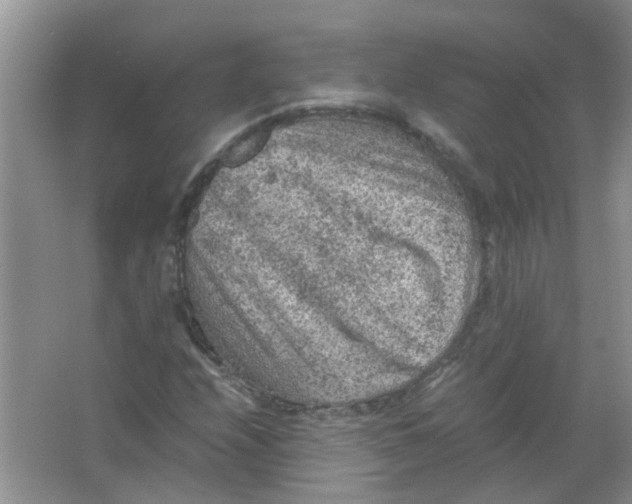 X0000065961208200603241838