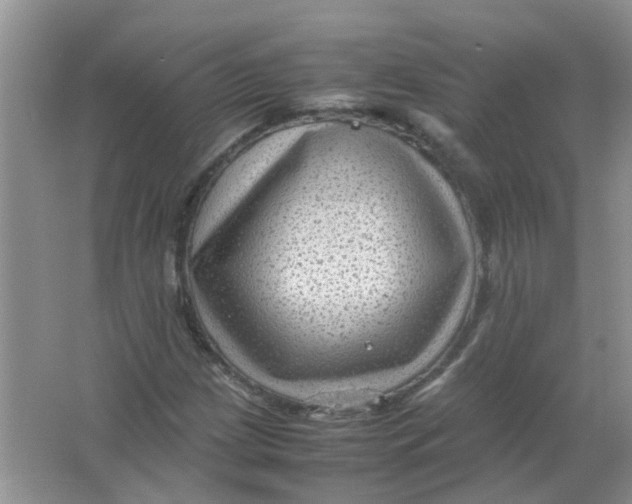 X0000065961209200603241838