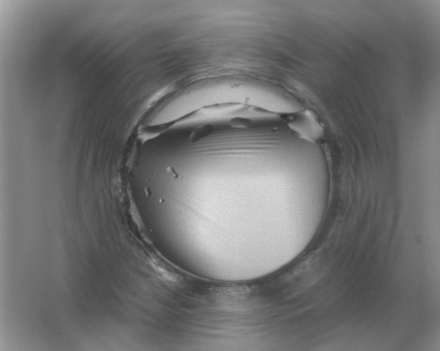 X0000065961210200603241838