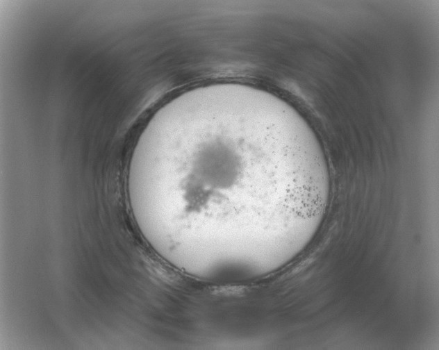 X0000065961211200603241838