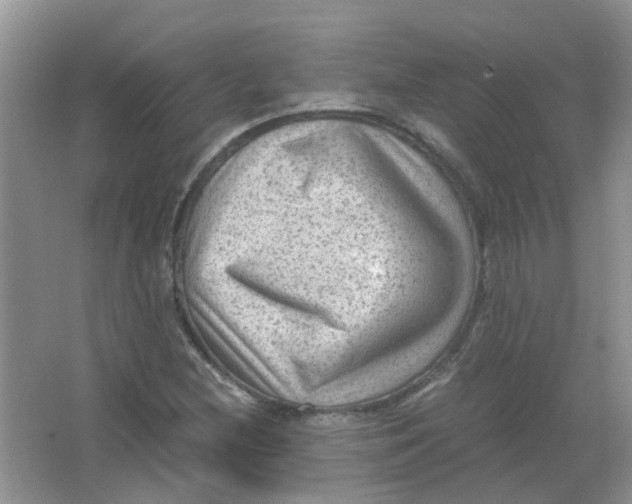 X0000065961212200603241838