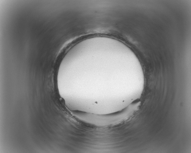 X0000065961214200603241838