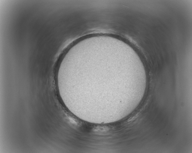 X0000065961215200603241838