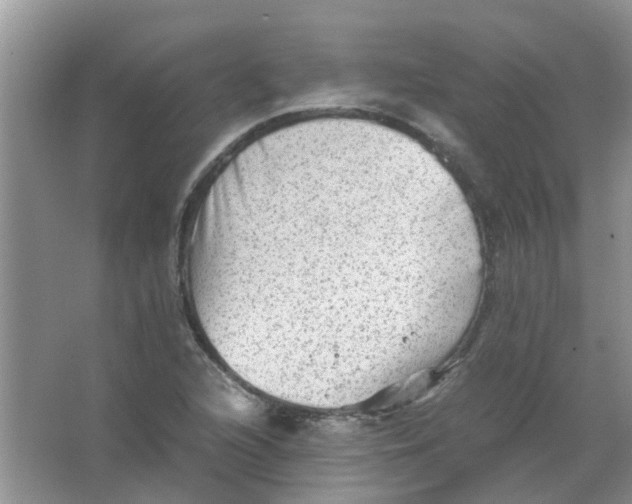 X0000065961216200603241838