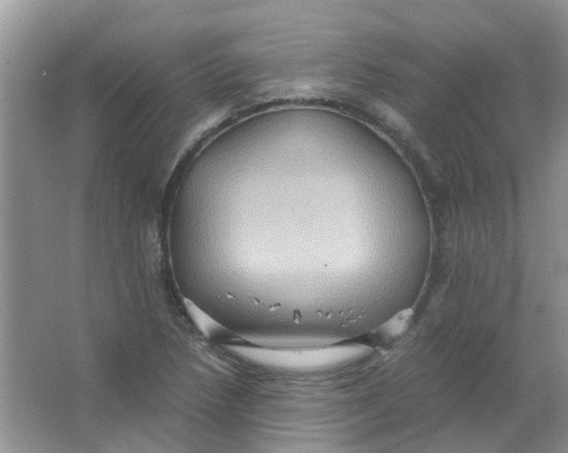 X0000065961218200603241838