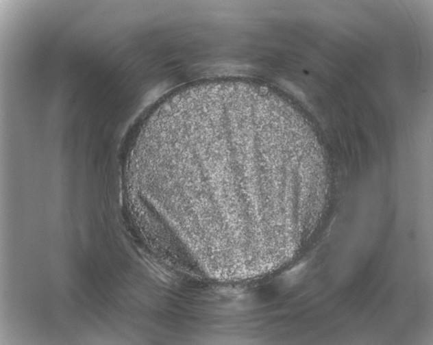 X0000065961219200603241838