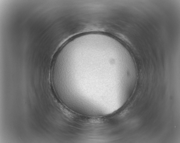 X0000065961220200603241838