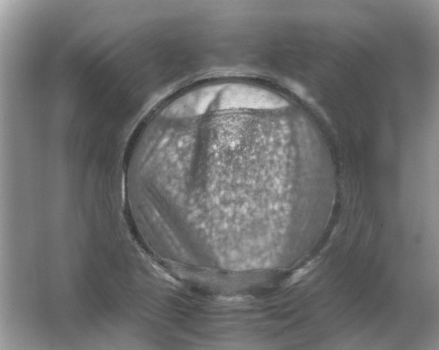 X0000065961221200603241838