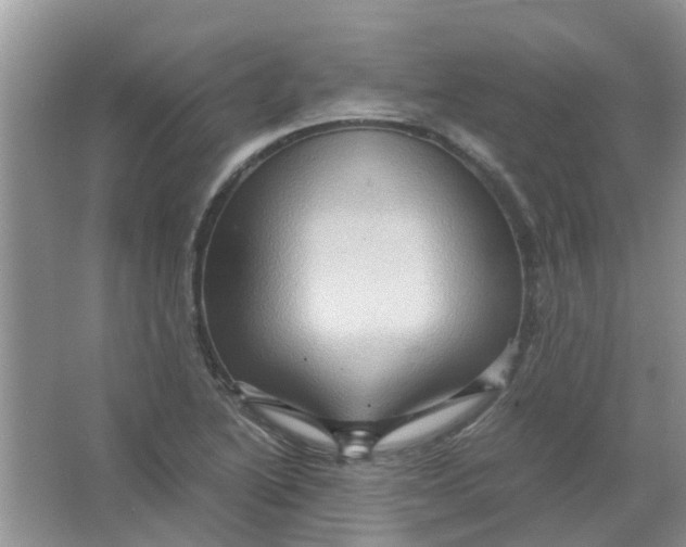 X0000065961222200603241838