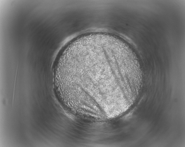 X0000065961223200603241838