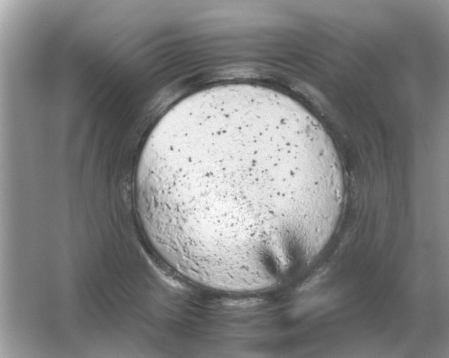 X0000065961225200603241838