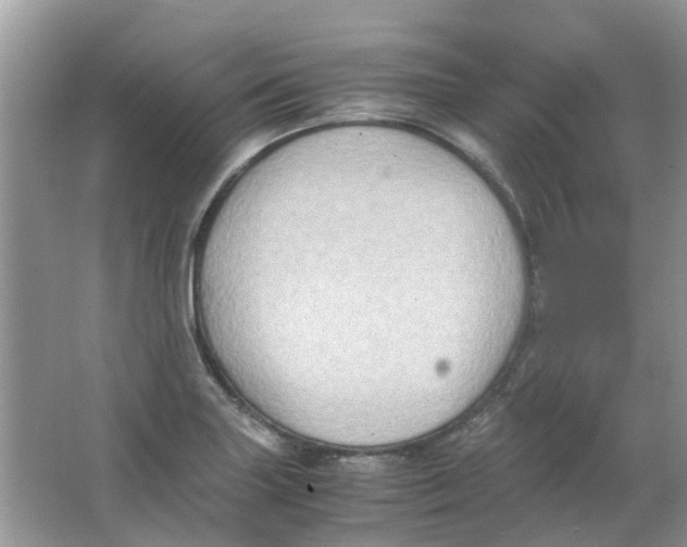 X0000065961227200603241838