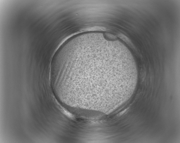 X0000065961228200603241838