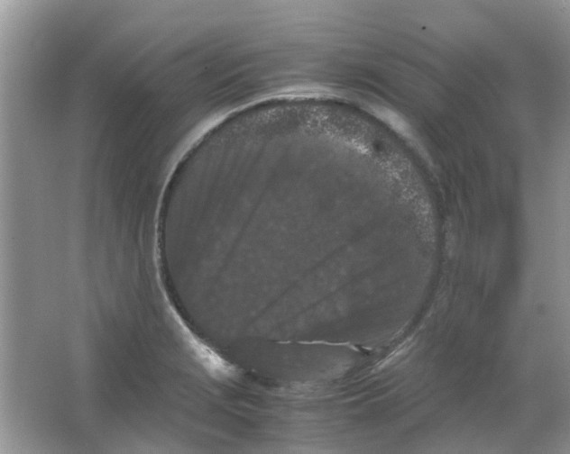 X0000065961229200603241838