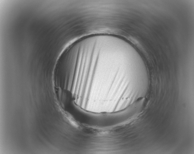 X0000065961230200603241838