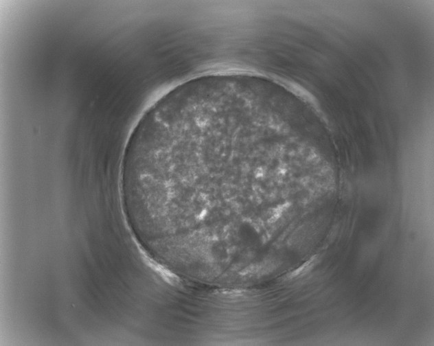 X0000065961231200603241838