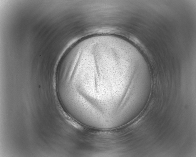 X0000065961232200603241838