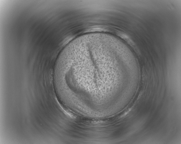 X0000065961233200603241838