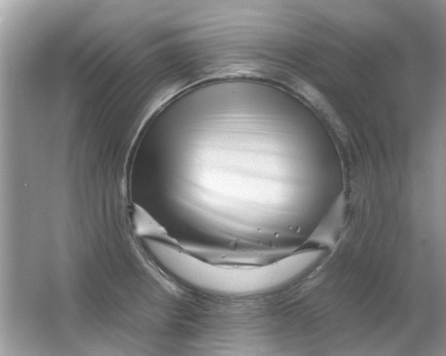 X0000065961234200603241838