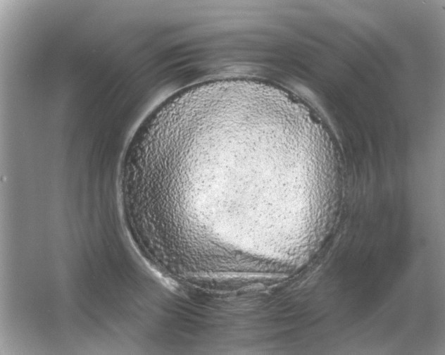 X0000065961235200603241838