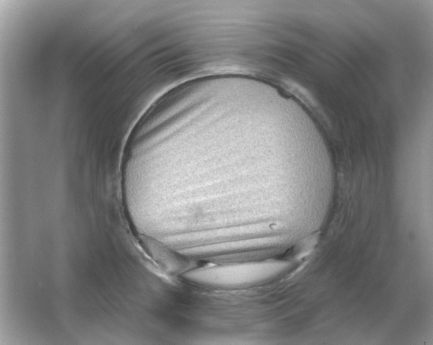 X0000065961236200603241838